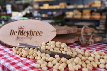 Macadamia van de meybree 