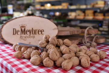 Walnoten in de dop van de meybree 