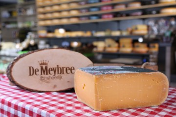 Kaas stomptoren van de meybree