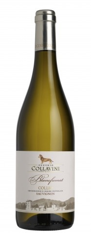 Witte wijn Sauvignon Blanc Collavini